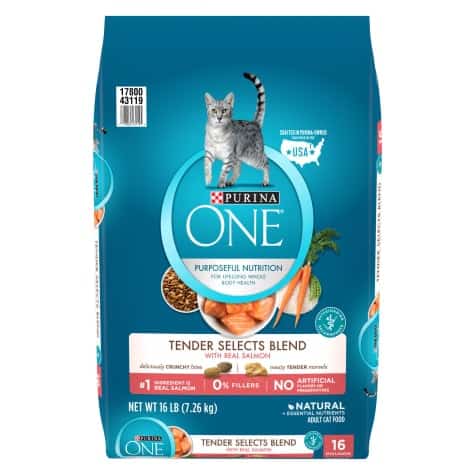 Purina ONE Natural Tender Selects Blend With Real Salmon Dry Cat Food Purina ONE Natural Tender Selects Blend With Real Salmon Dry Cat Food