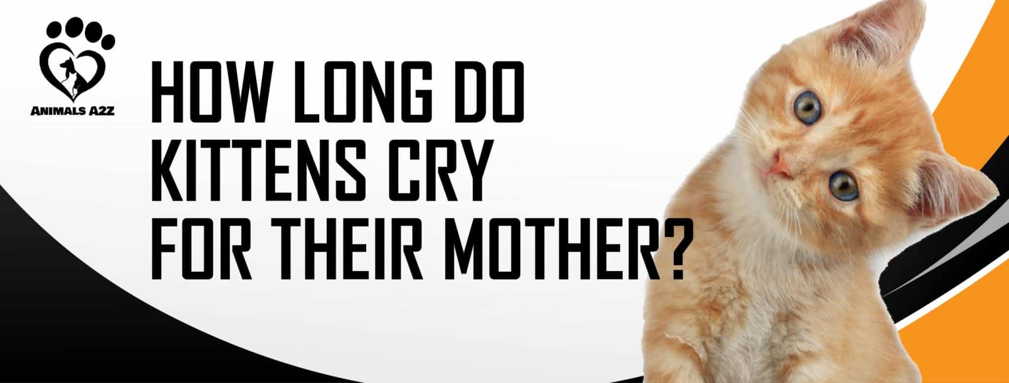 How long do kittens cry for their mother? Detailed Answer