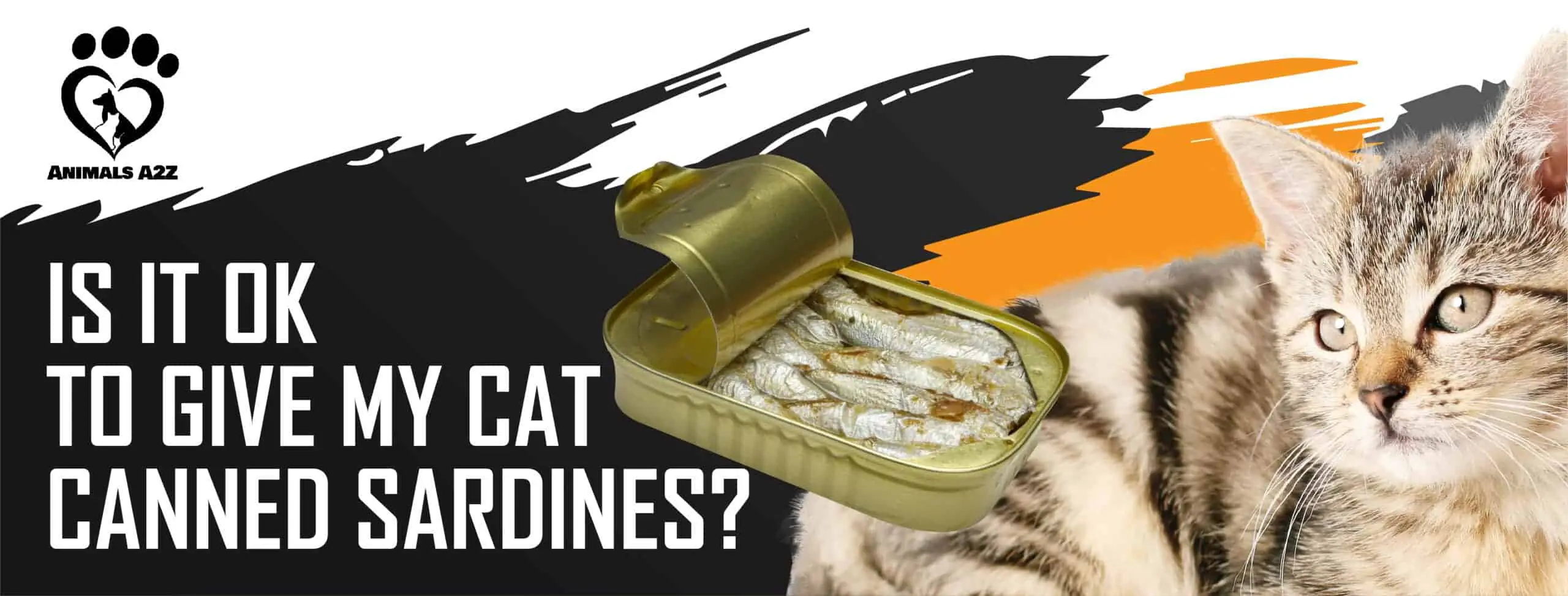¿Está bien darle a mi gato sardinas en lata?