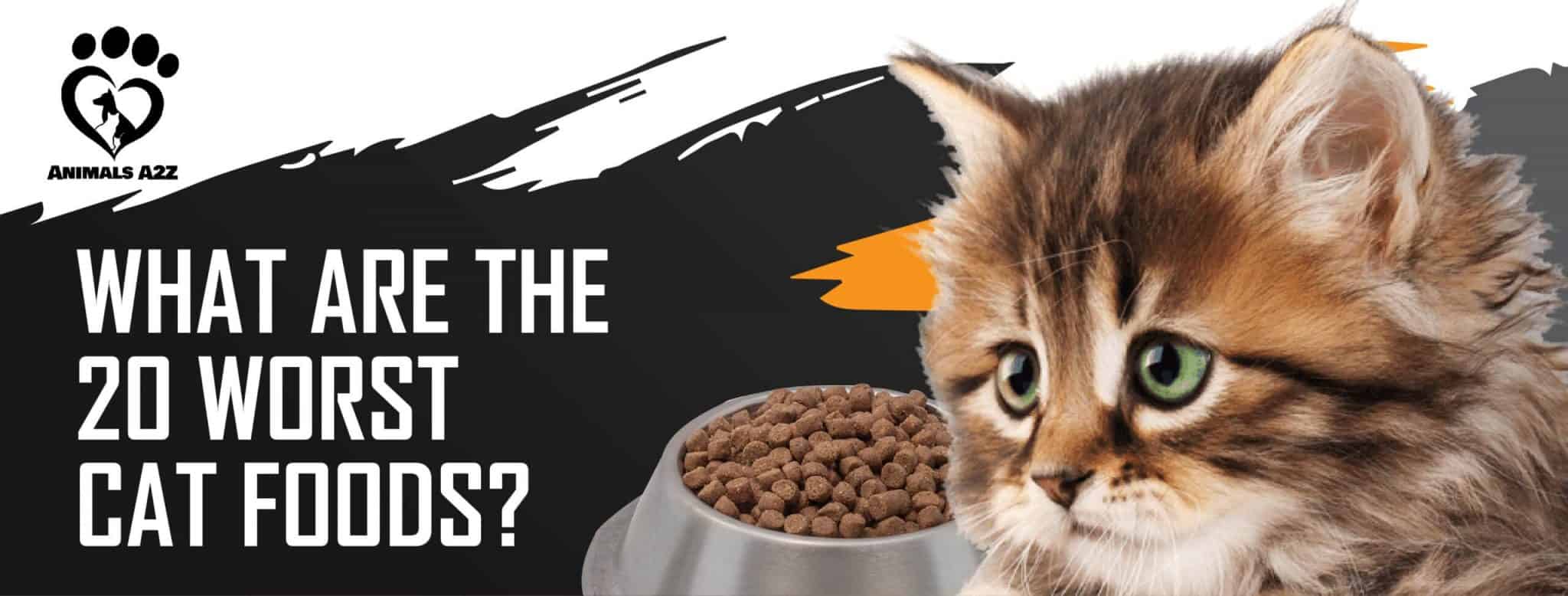 What are the 20 worst cat foods? [ Detailed Answer ]