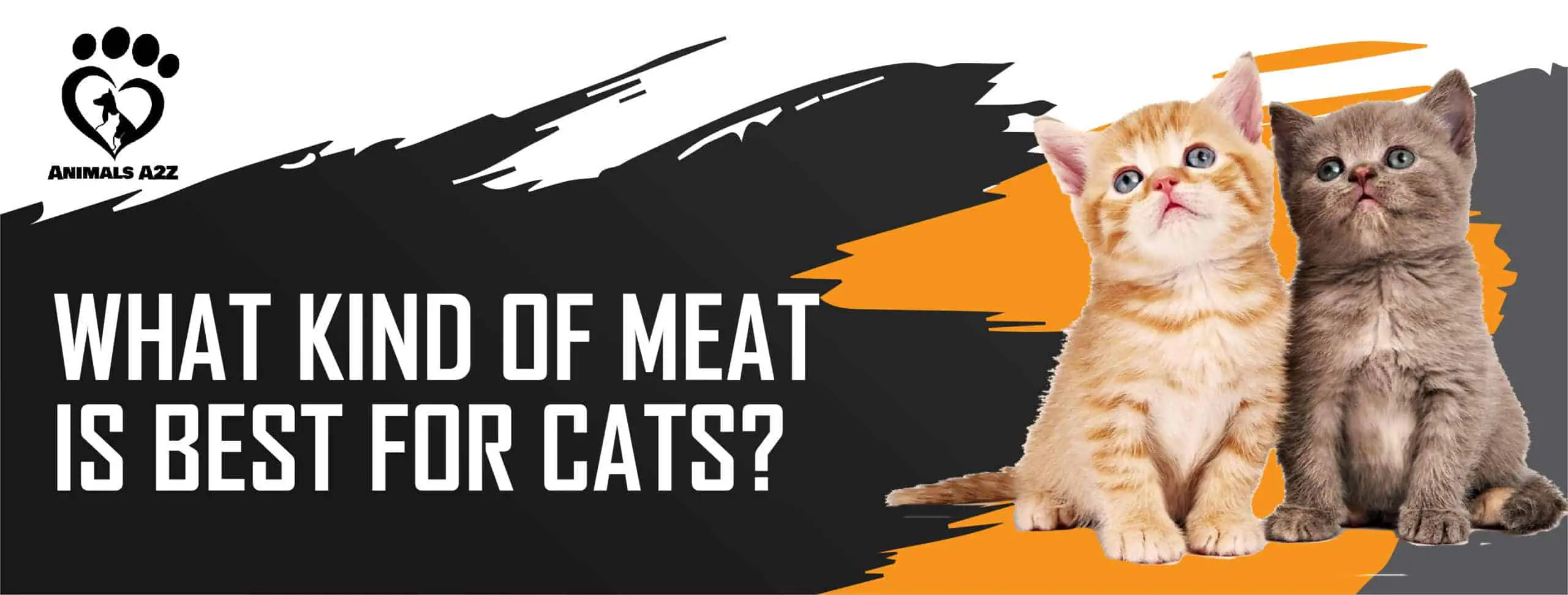 What kind of meat is best for cats