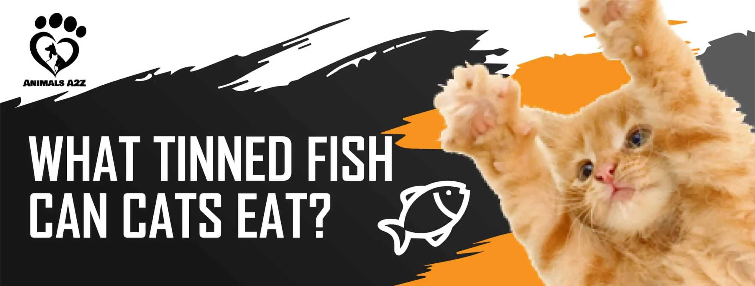 ¿Qué pescado en conserva pueden comer los gatos?
