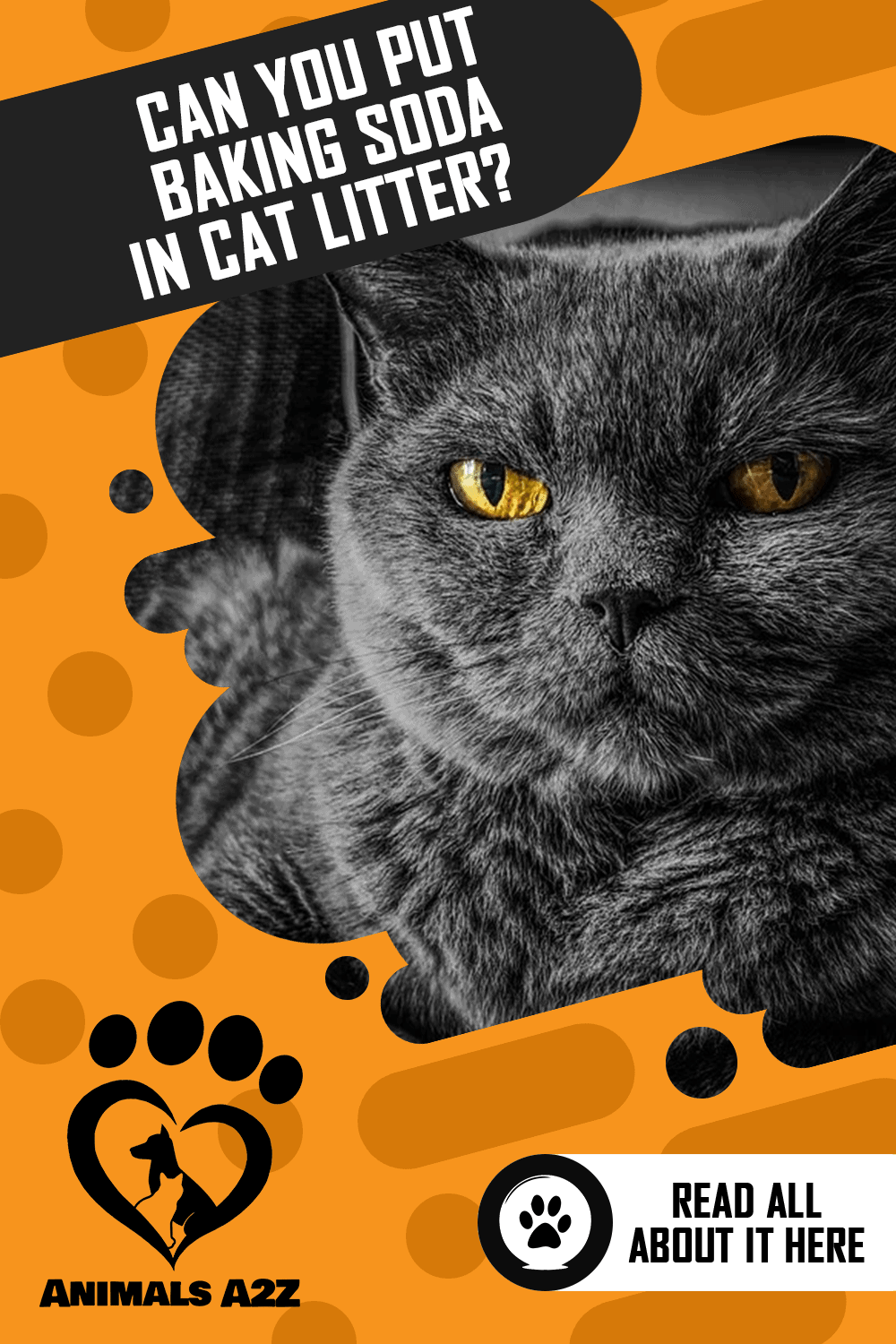 Can You Put Baking Soda in Cat Litter? [ Detailed Answer ]