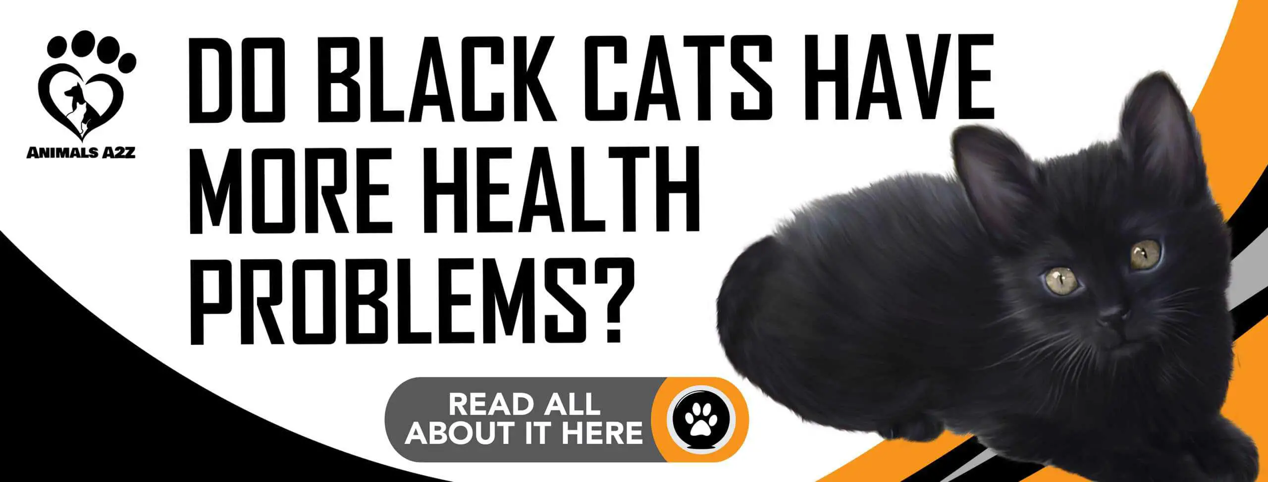 Do black cats have more health problems