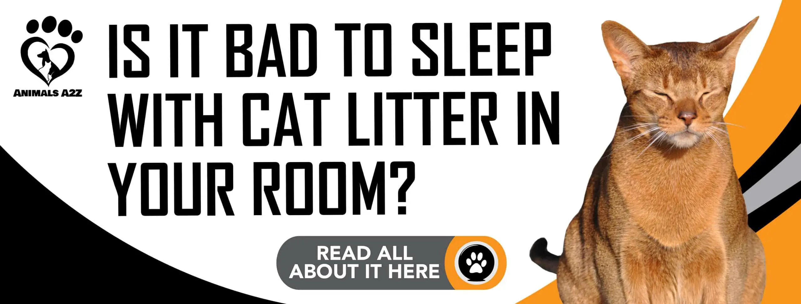 Is it bad to sleep with cat litter in your room