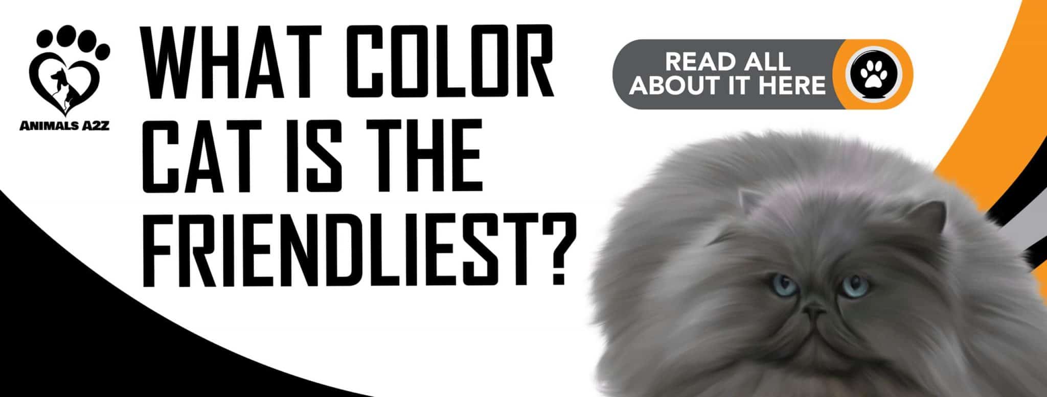 What color cat is the friendliest? [ Detailed Answer ]