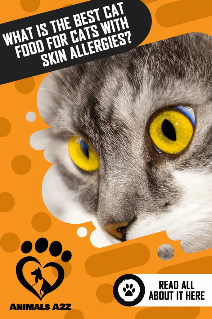 What is the best cat food for cats with skin allergies