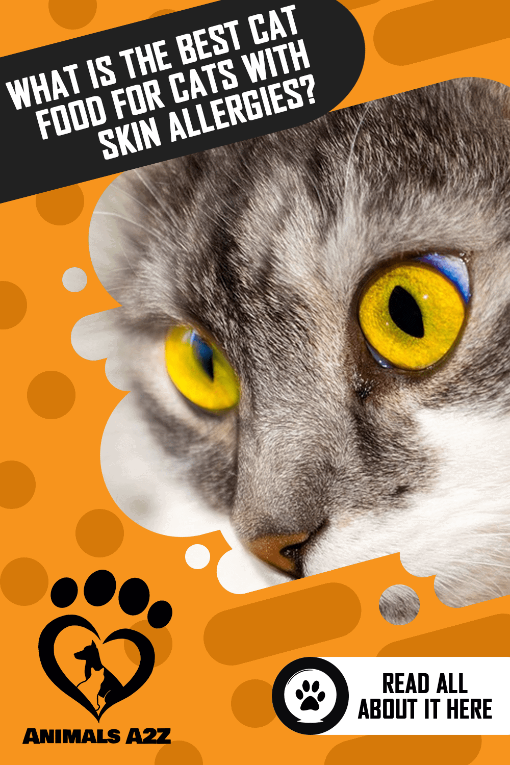 What is the Best Cat Food for Cats with Skin Allergies? [ Detailed Answer ]
