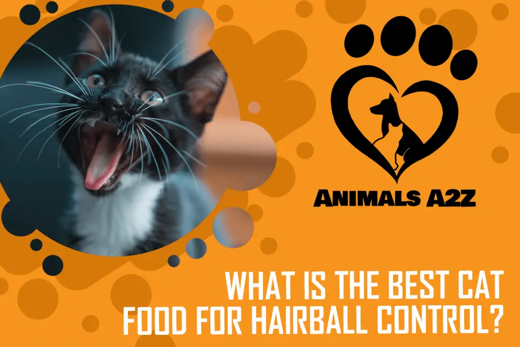 best cat food for hairball prevention