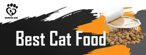 best cat food