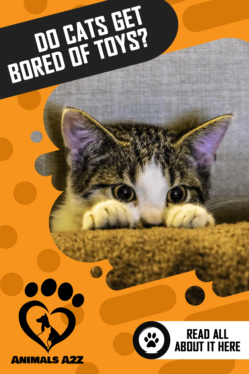 Do cats get bored with toys? [ Detailed Answer ]