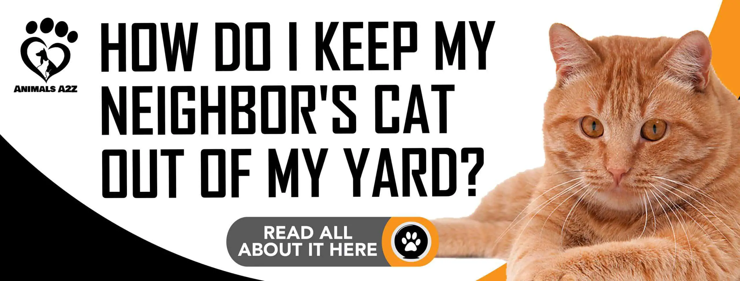 How do I keep my neighbor's cat out of my yard?