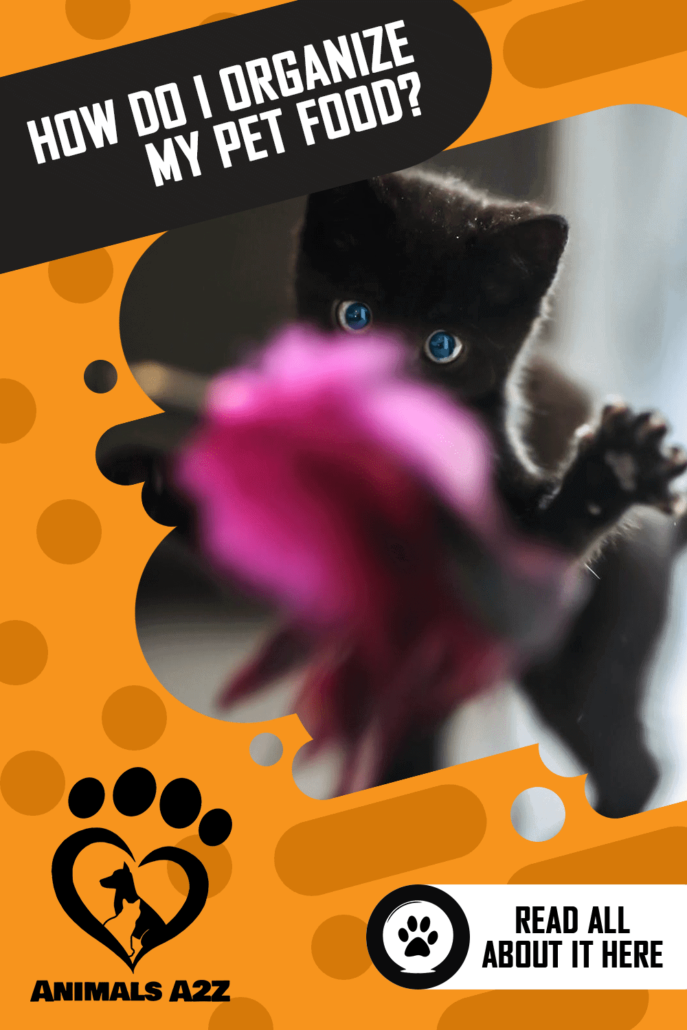 How do I organize my pet food? [ Detailed Answer ]