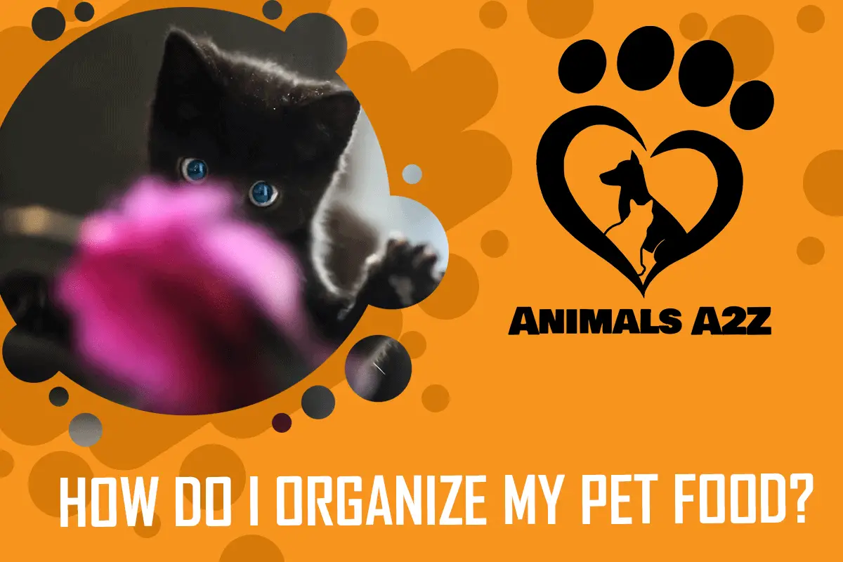How do I organize my pet food
