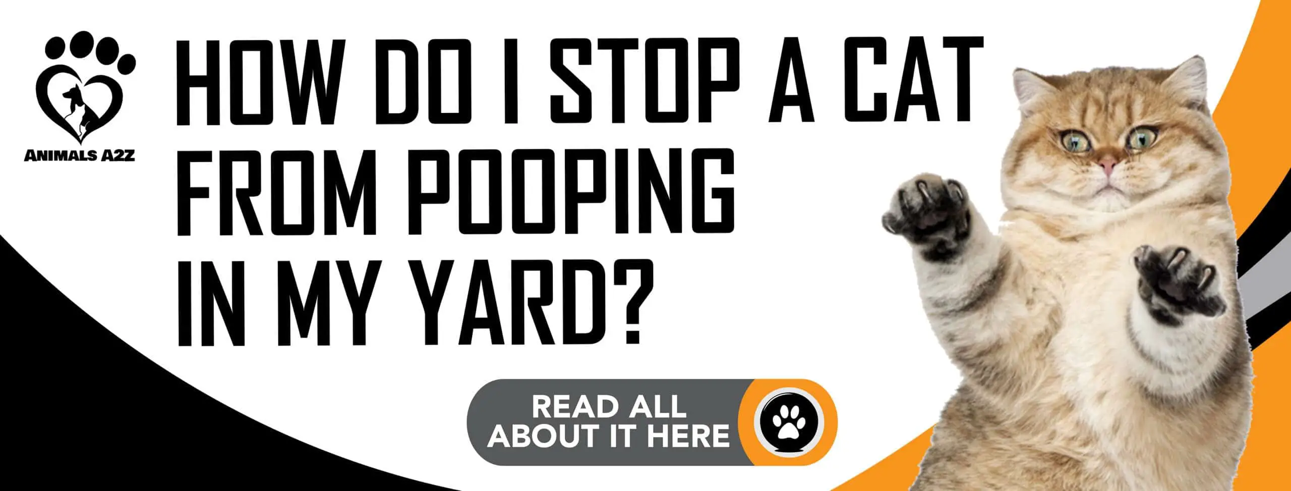 How do I stop a cat from pooping in my yard