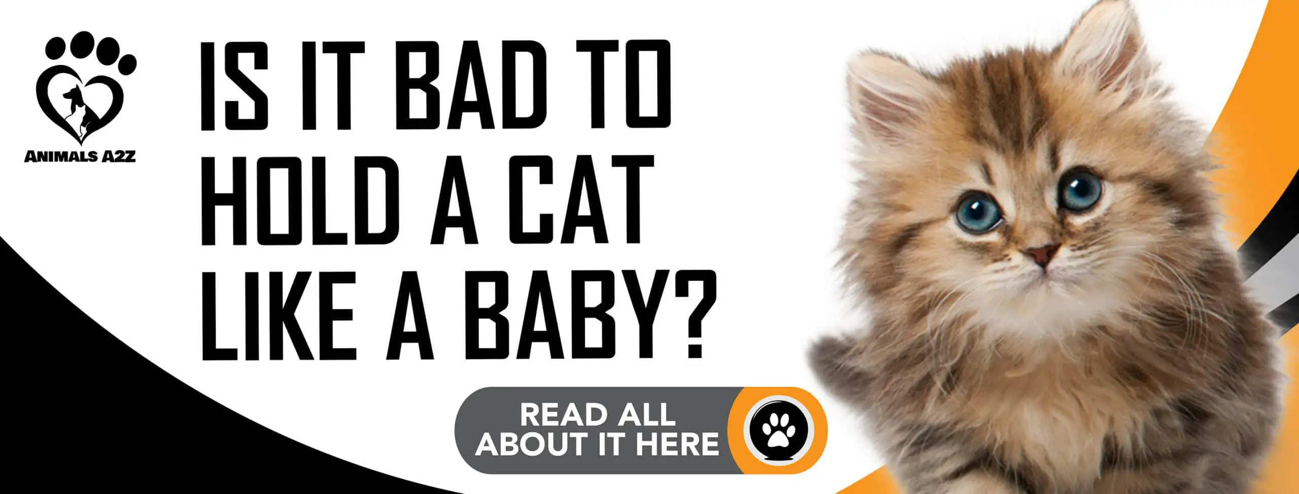 ¿Es malo sostener a un gato como si fuera un bebé?