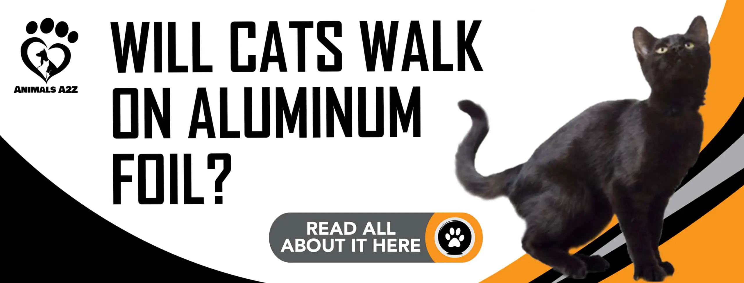 ¿Los gatos caminarán sobre papel de aluminio?