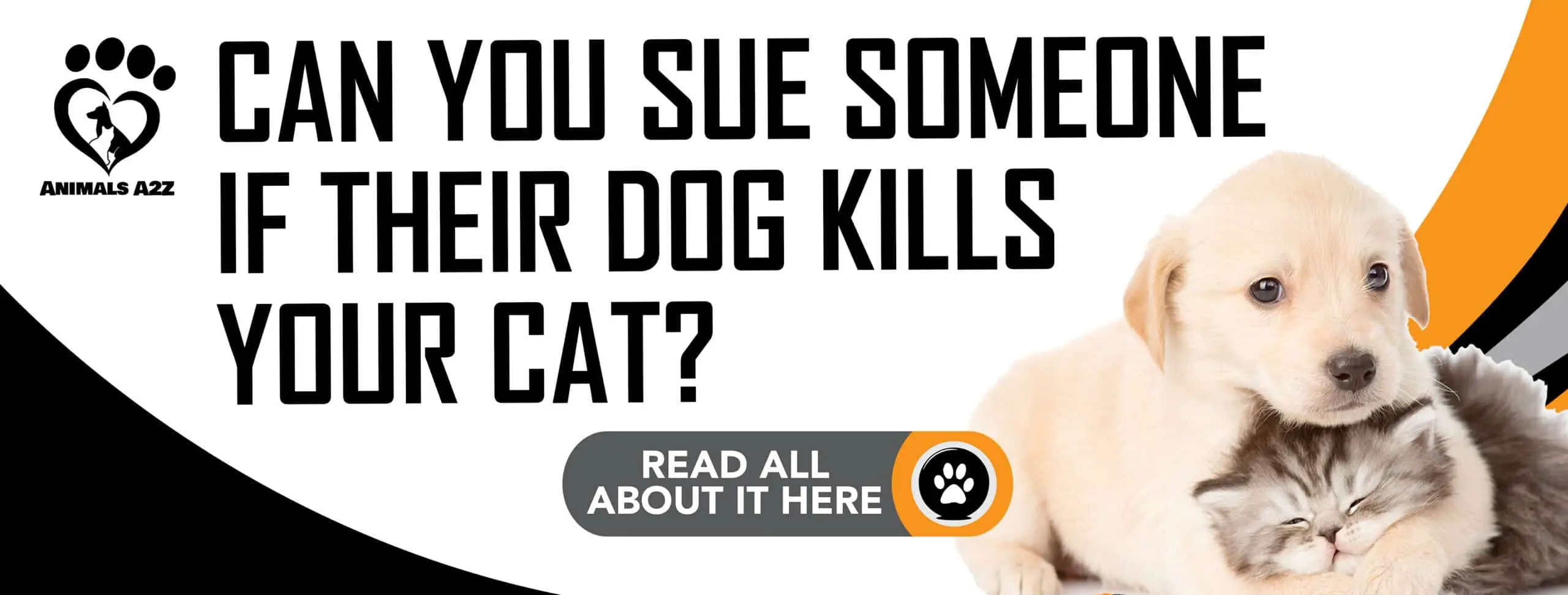 Pouvez-vous poursuivre quelqu'un si son chien tue votre chat ?