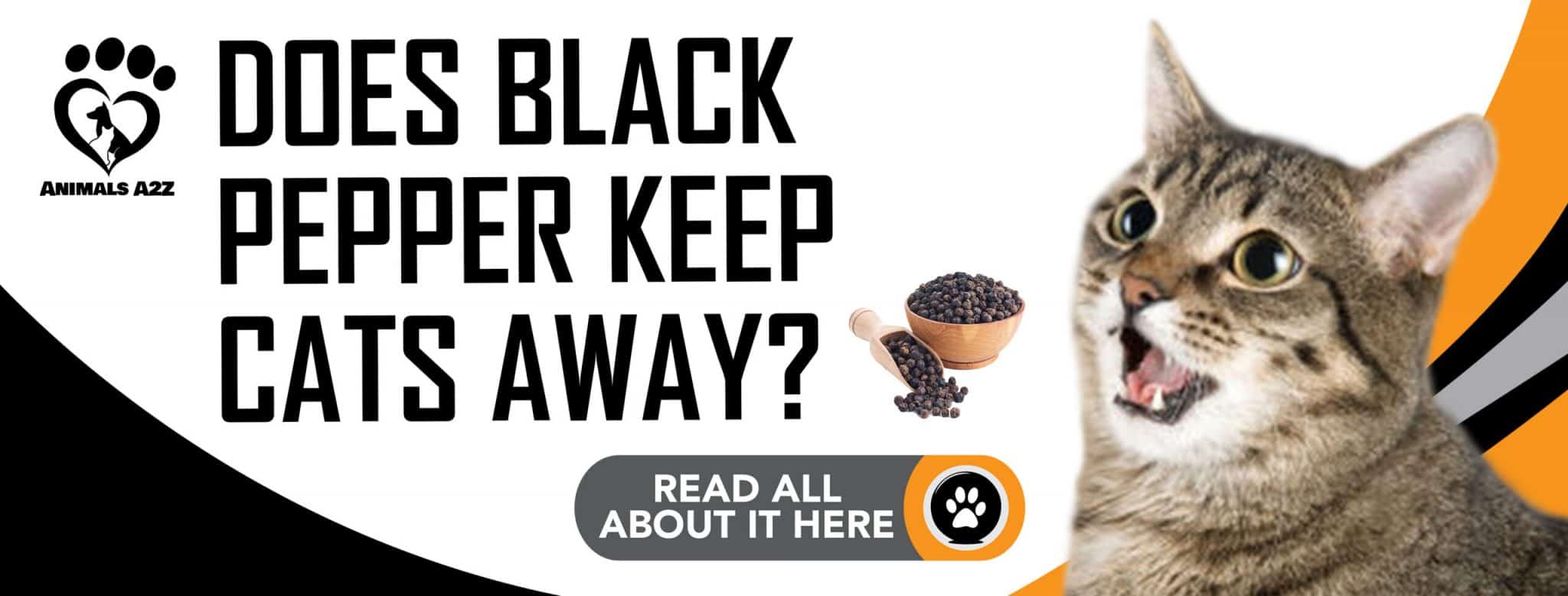 Does black pepper keep cats away? [ detailed answer ]