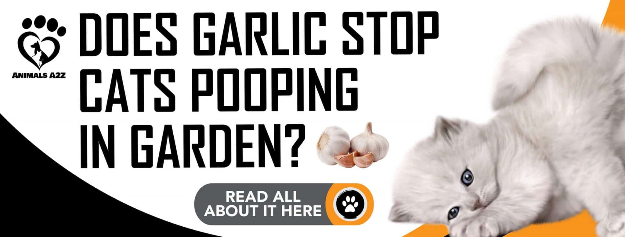 Does garlic stop cats from pooping in garden? [ detailed answer ]
