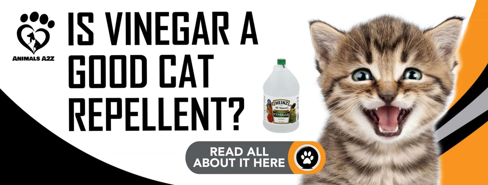 Is vinegar a good cat repellent? [ detailed answer ]