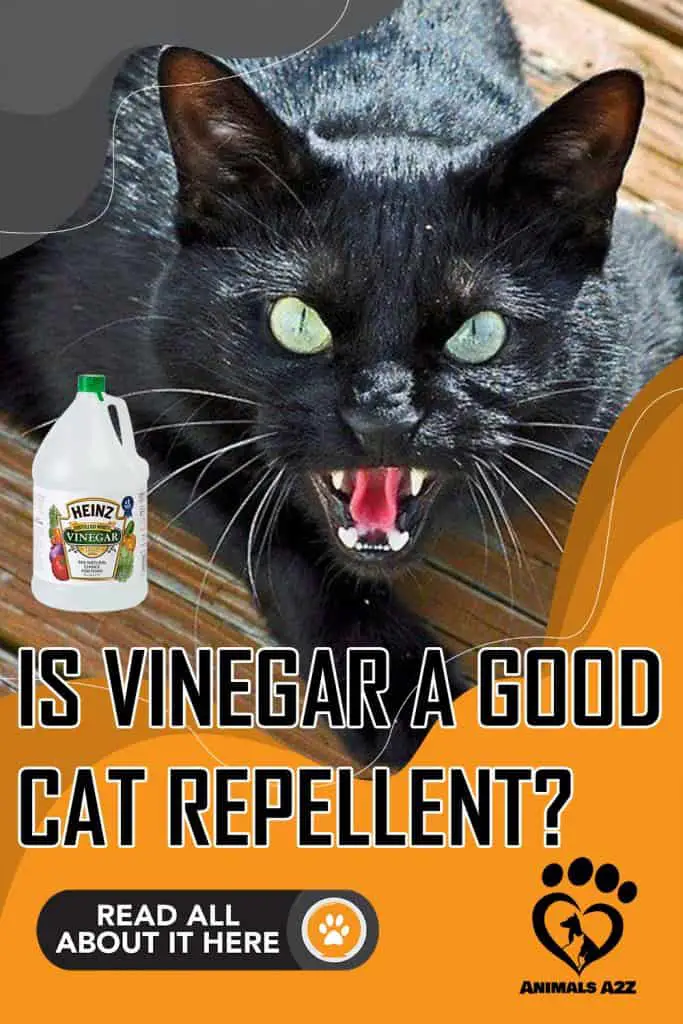Is vinegar a good cat repellent?