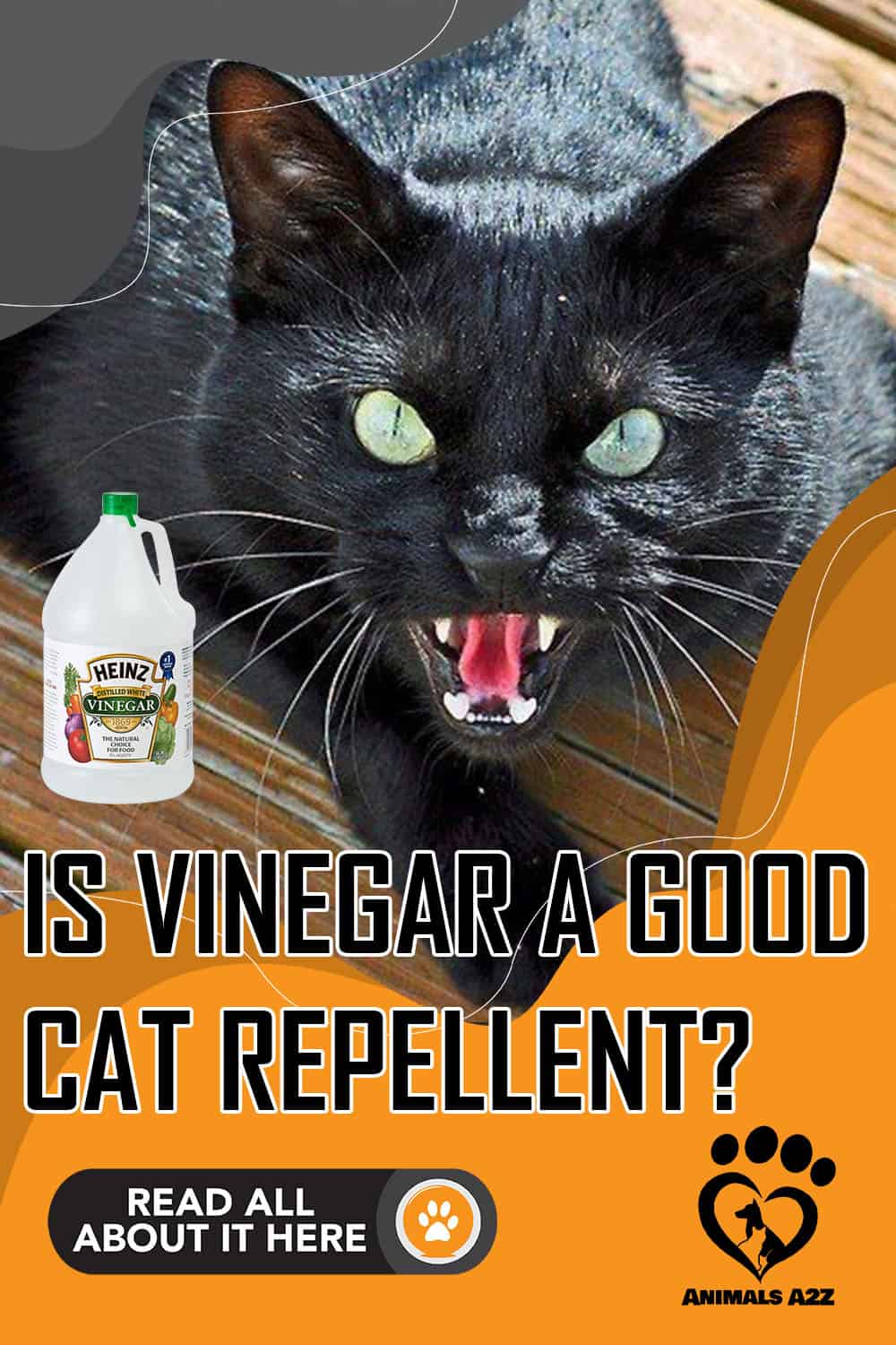 ¿Es el vinagre un buen repelente de gatos? [respuesta detallada]