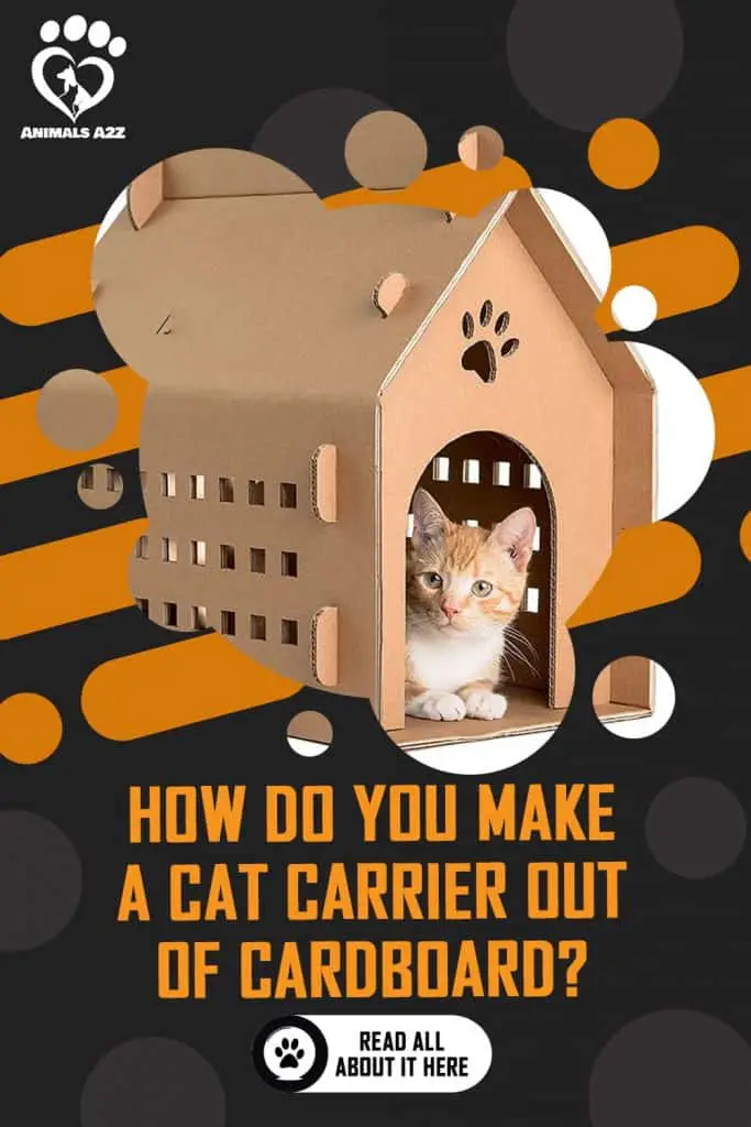 Cat in cardboard box.