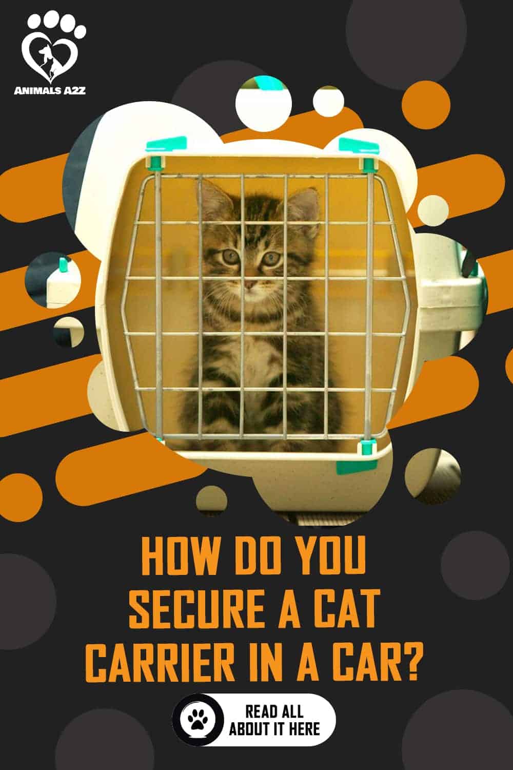 How do you secure a cat carrier in a car? [ detailed answer ]