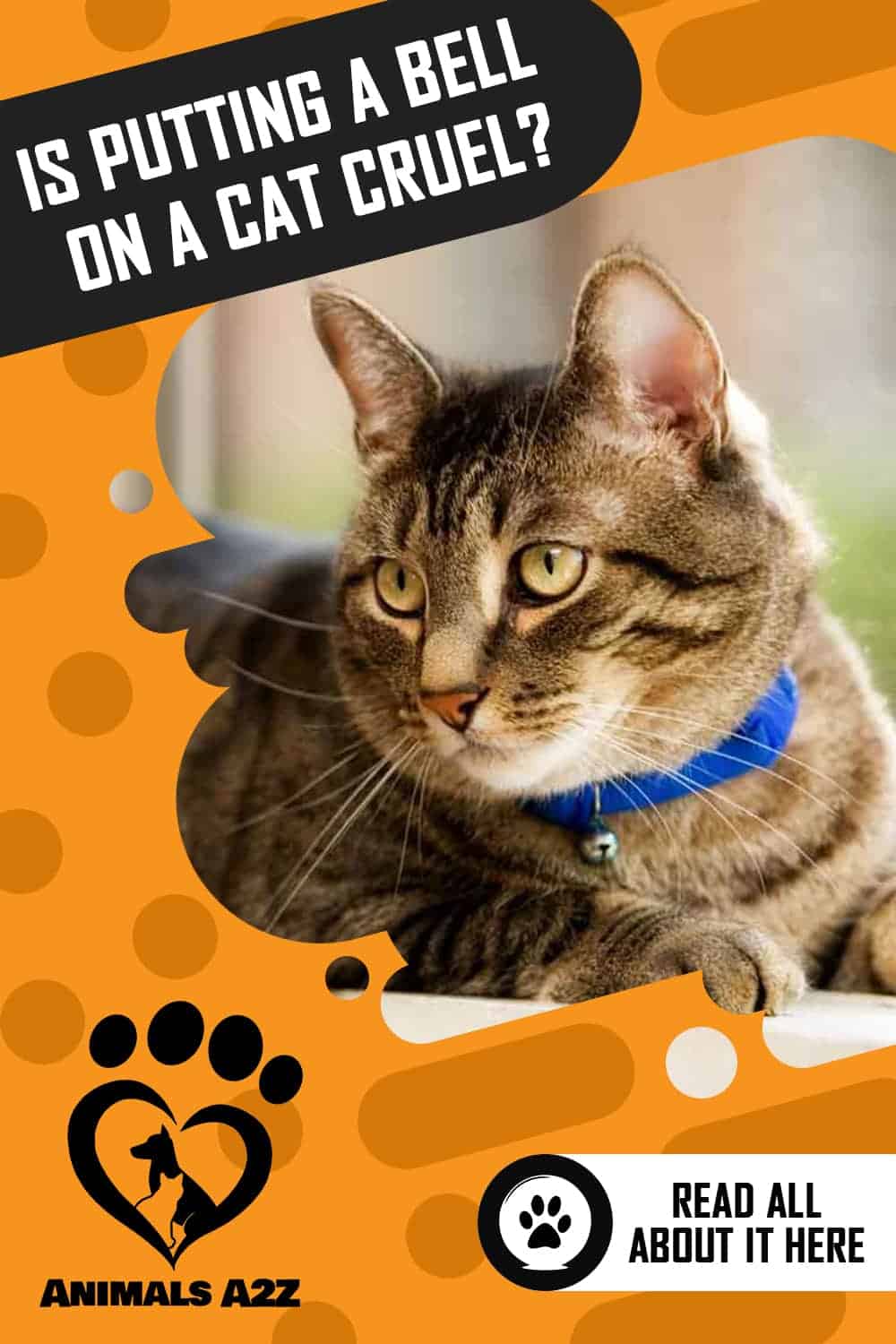 Is putting a bell on a cat cruel? [ detailed answer ]
