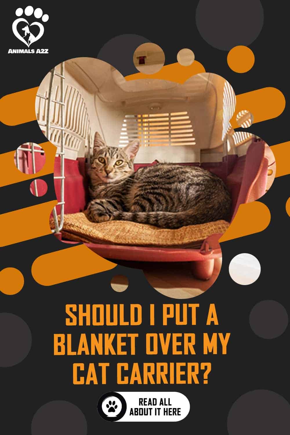 Should I put a blanket over my cat carrier? [ detailed answer ]