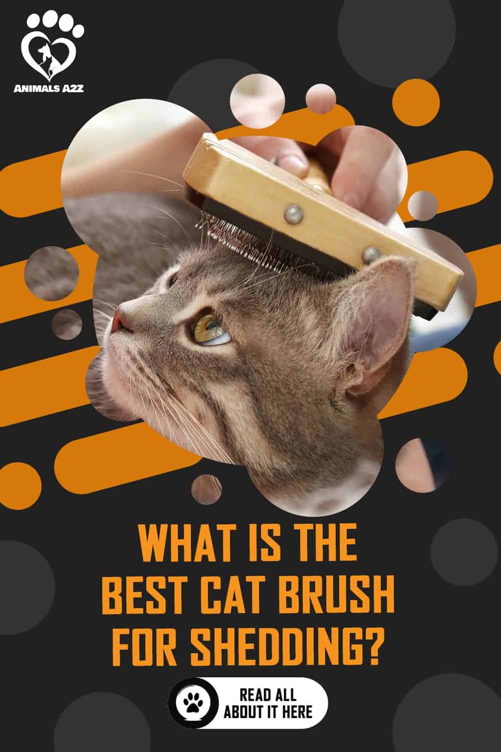What kind of brush is best for cats? [ detailed answer ]