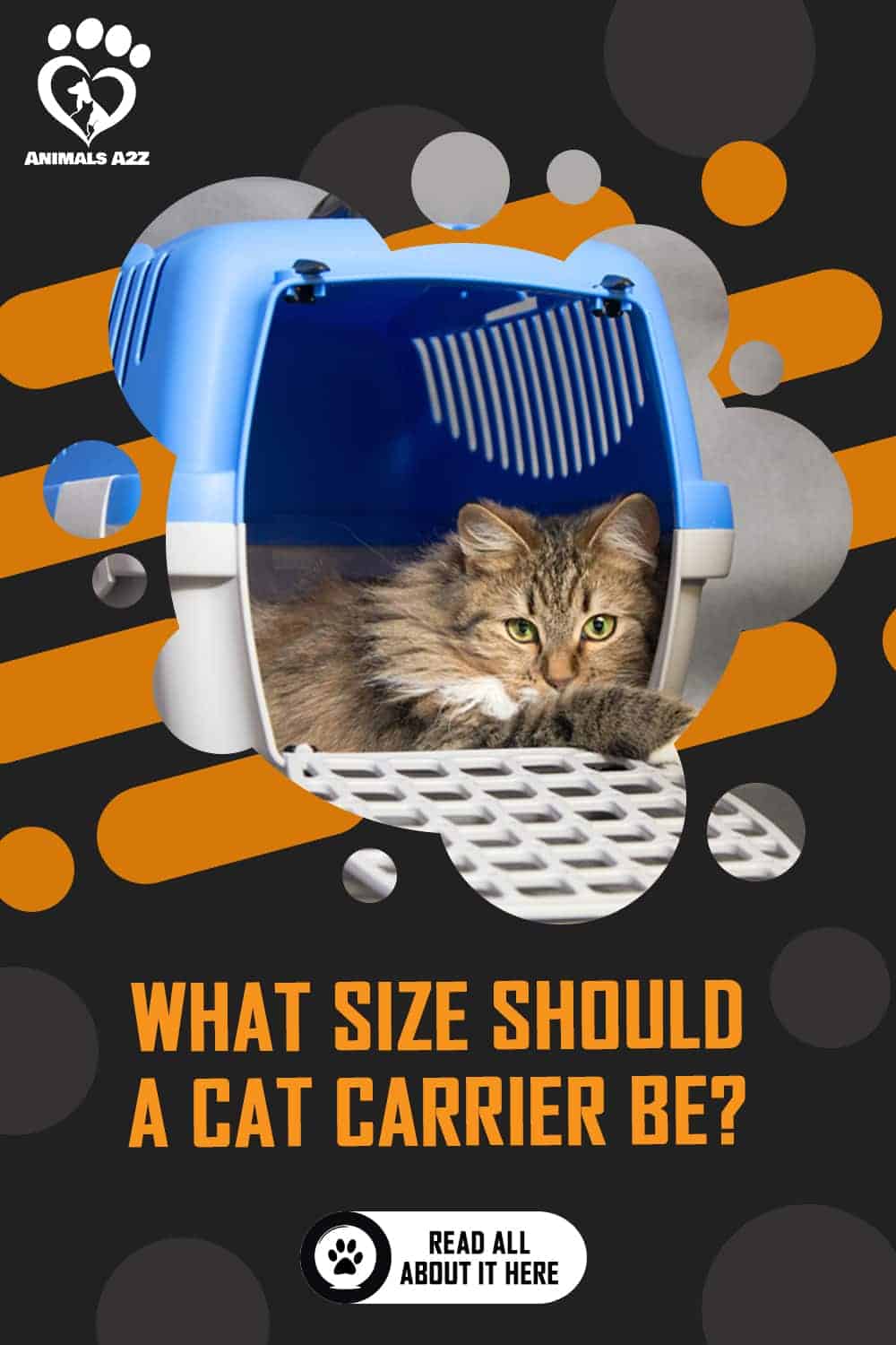 What size should a cat carrier be? [ detailed answer ]