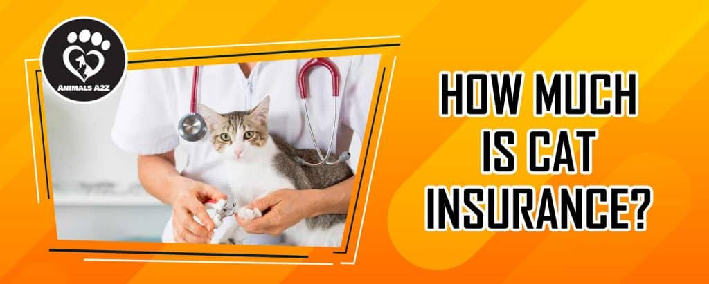 How much is cat insurance? [ Detailed Answer ]