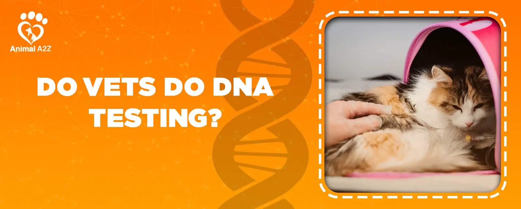 ¿Los veterinarios hacen pruebas de ADN?
