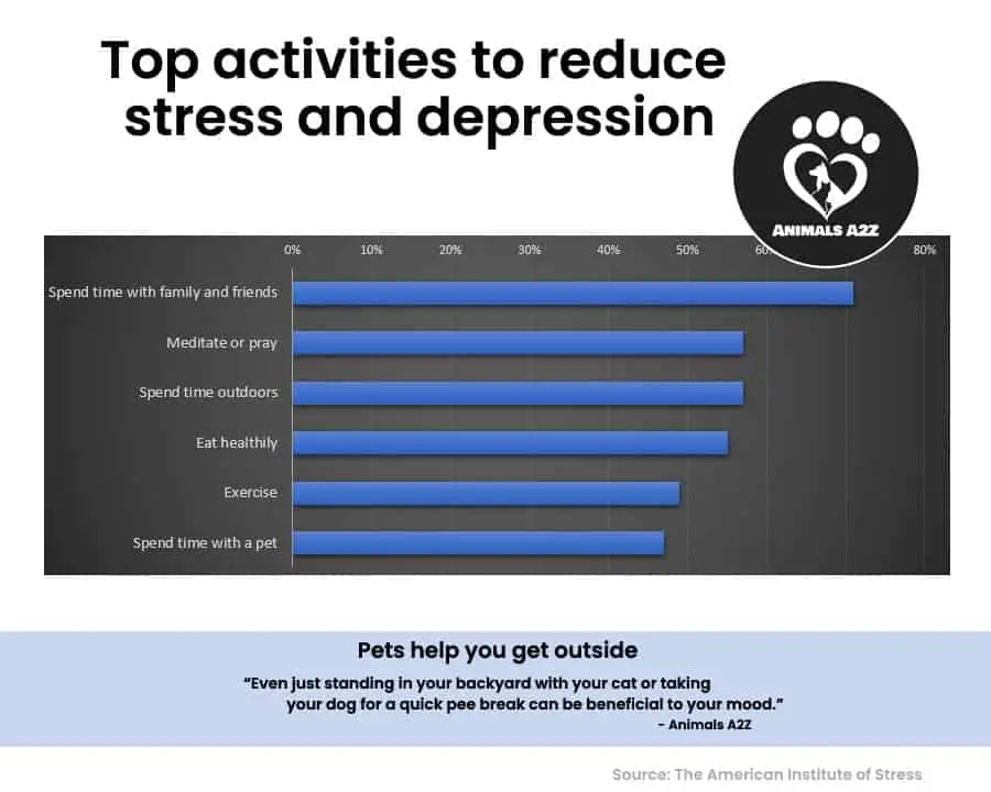 Top activities to reduce 
stress and depression. Pets help you get outside.