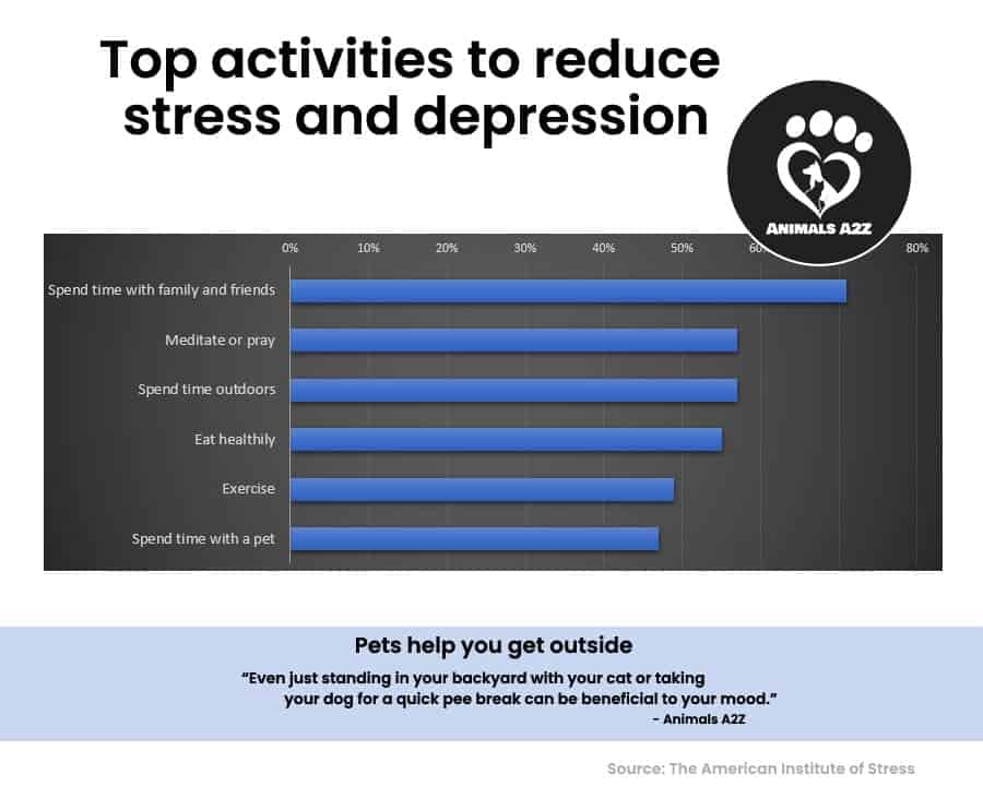 Top activities to reduce 
stress and depression. Pets help you get outside.