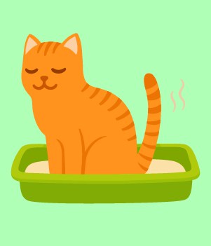 1. Litter Box Problems